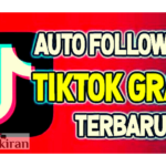 Pengikut otomatis Tiktok gratis tanpa verifikasi terbaru